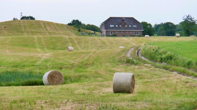 Damhills Apartments Bronowko Eksteriør bilde